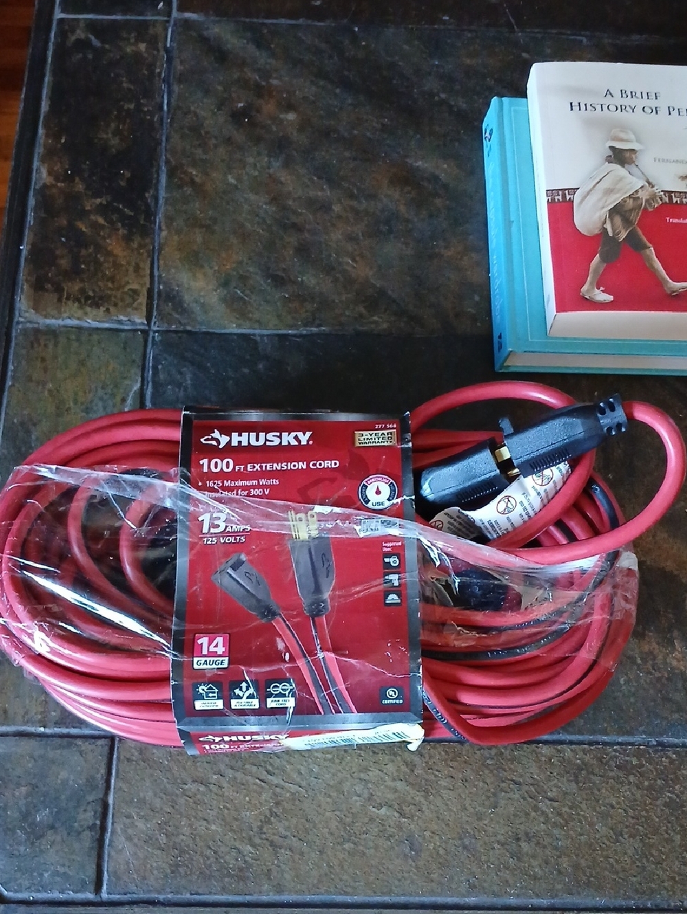 Sky Red and Black Extension Cord — Husky 100 ft
